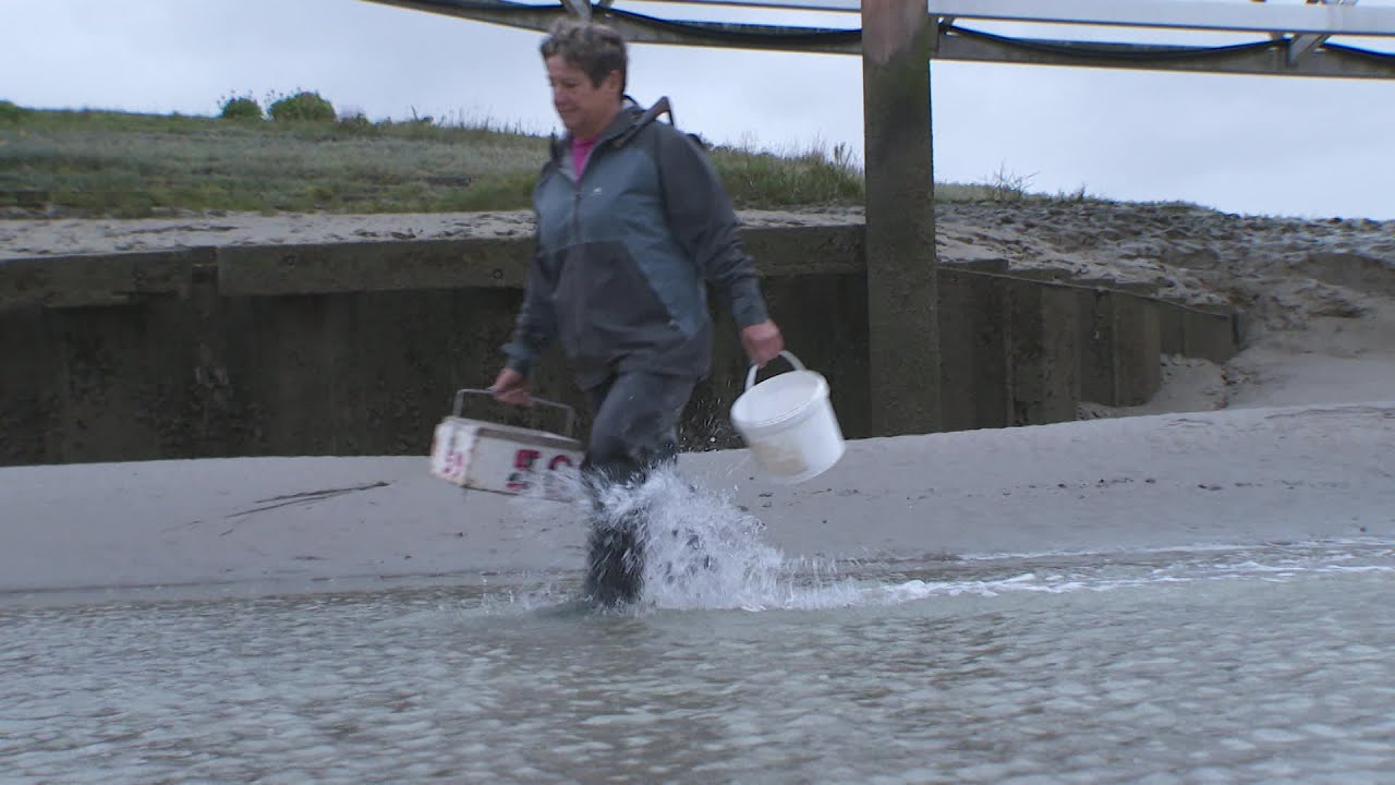 La pêche à pied avec Renée Michon