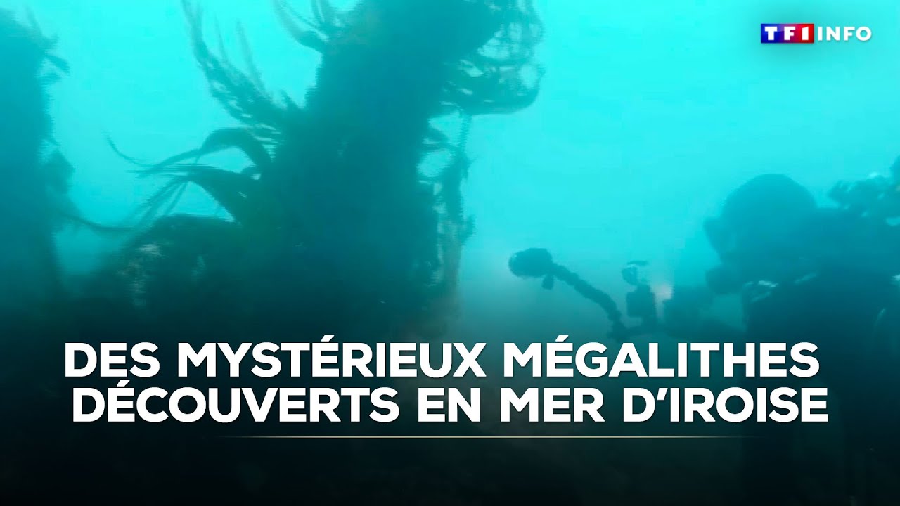 Des mystérieux murs de mégalithes découverts en mer d'Iroise｜TF1 INFO