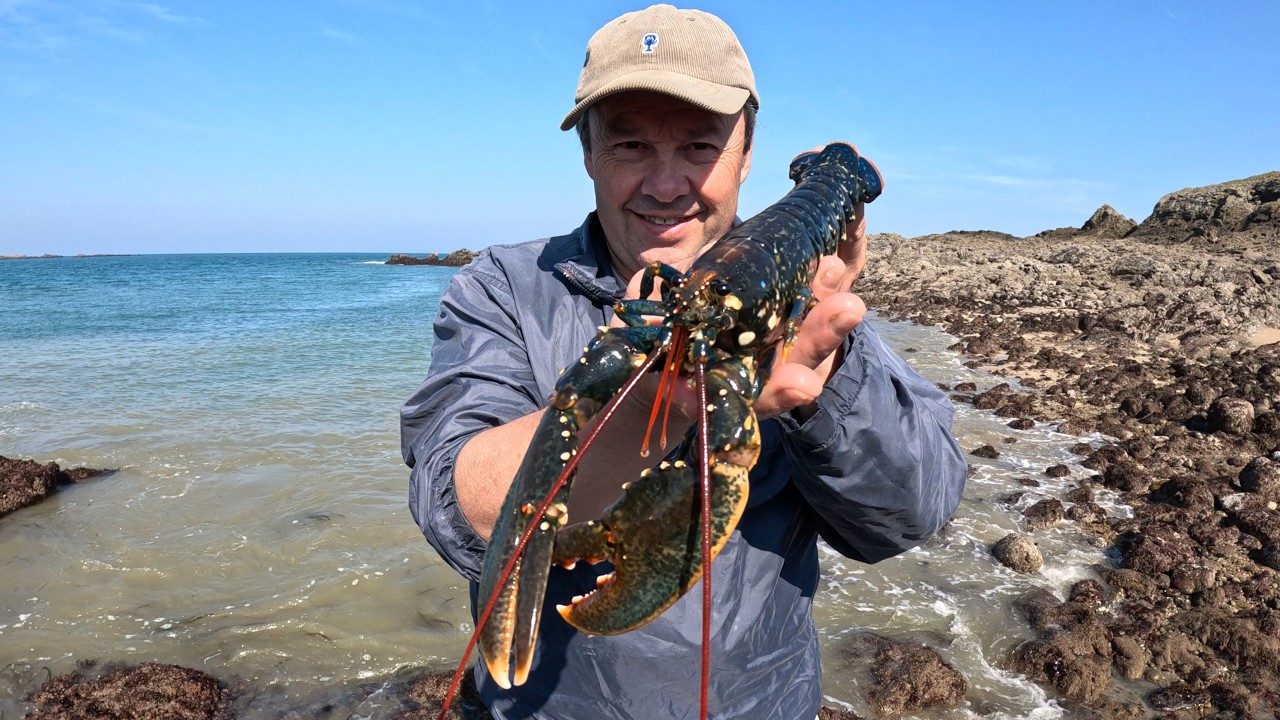 Pêche à pied : les grandes marées à Saint-Briac !