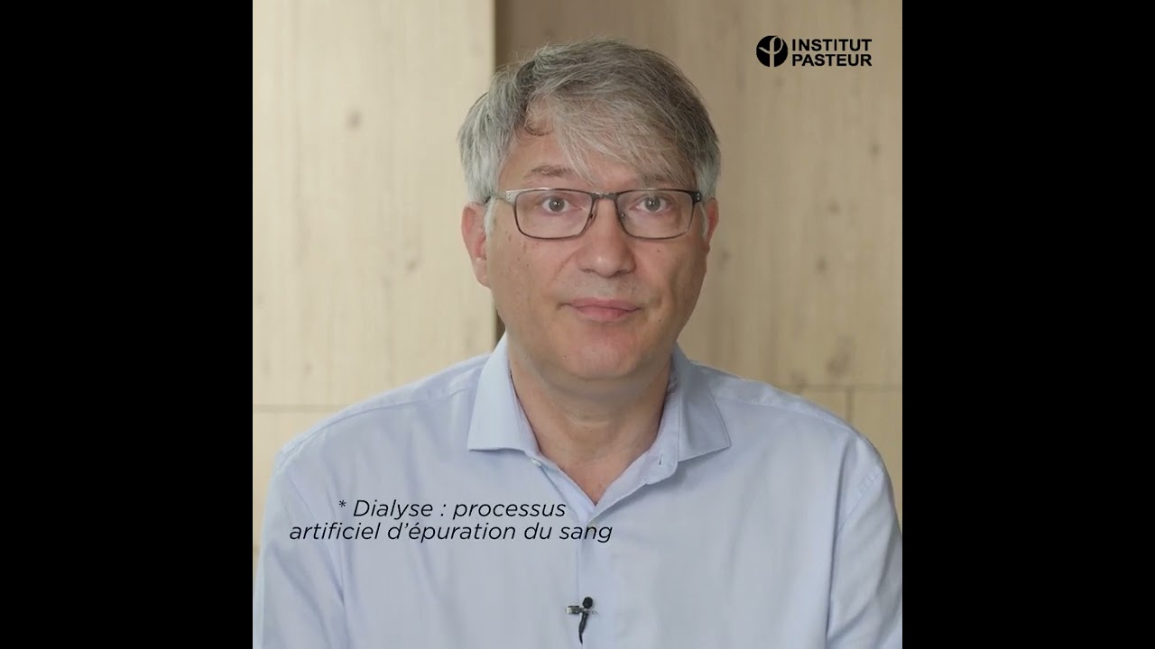 👨‍⚕️🦠 Comment soigner une infection due à la bactérie Escherichia coli ?