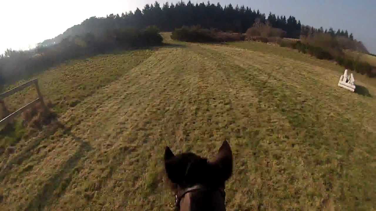 Cross Beaumont Pied de Boeuf