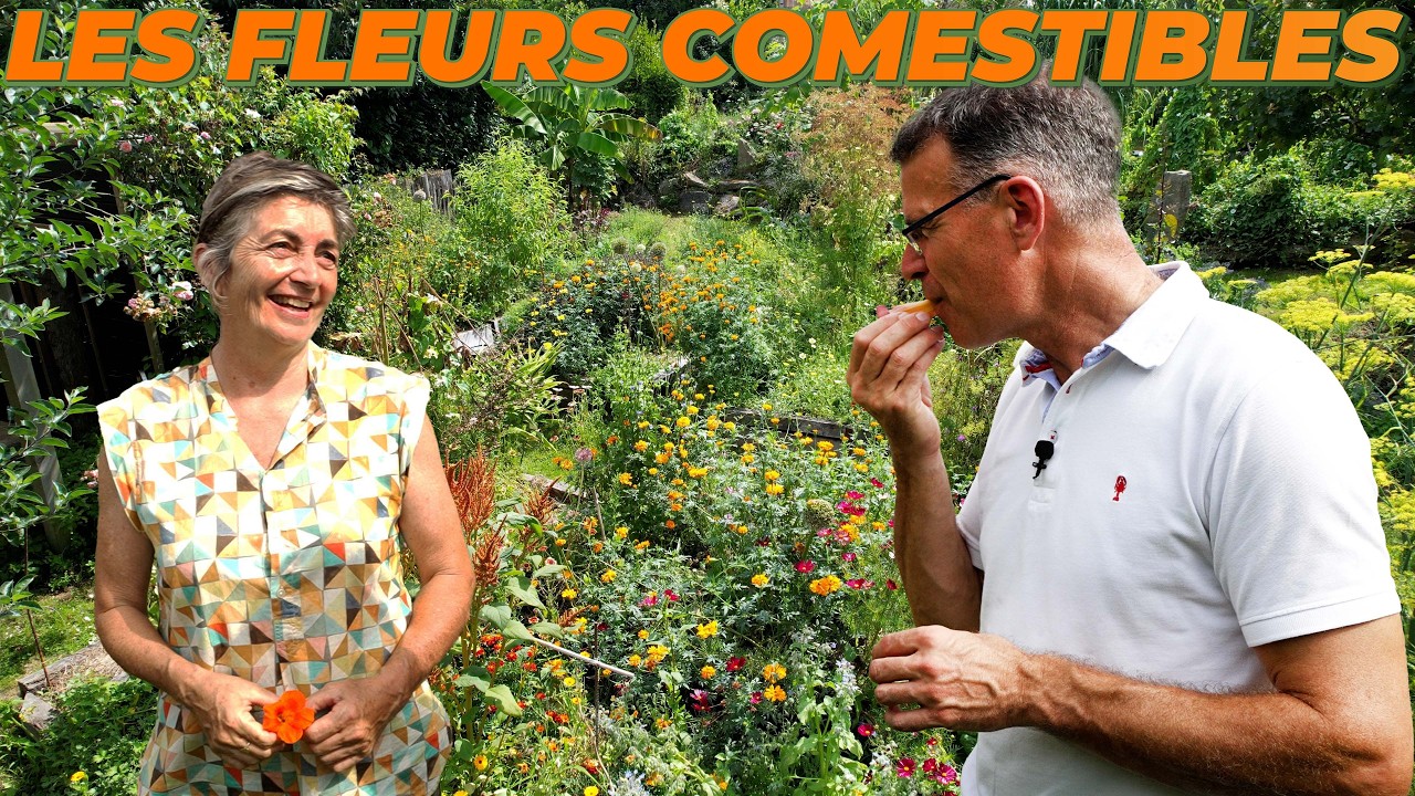 Les fleurs comestibles à l'Ile Jardin de Kervolan - Inspiration Ep. 16